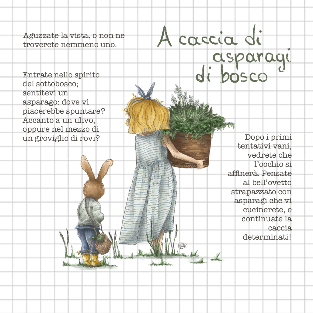 A caccia (e ai fornelli) con gli asparagi di bosco