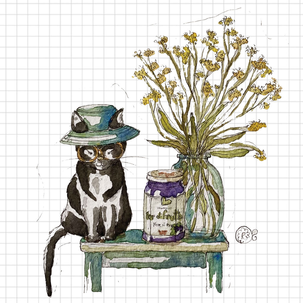 illustrazione gatto e marmellata
