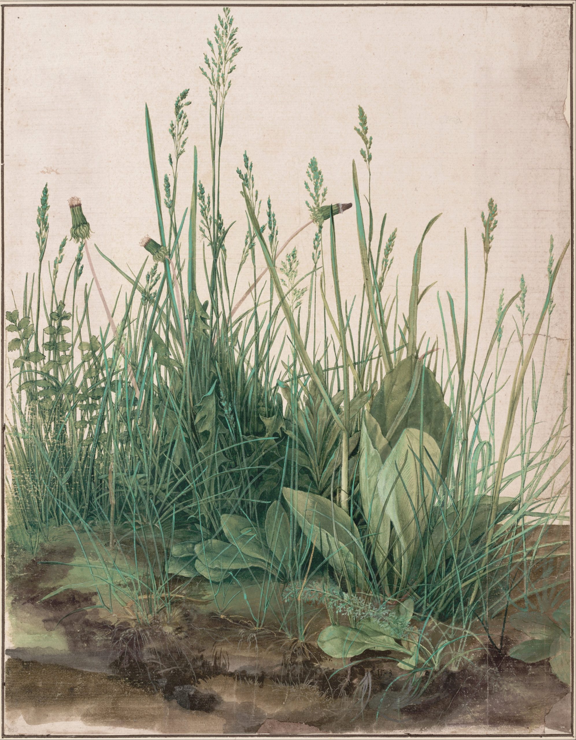 Albrecht Dürer