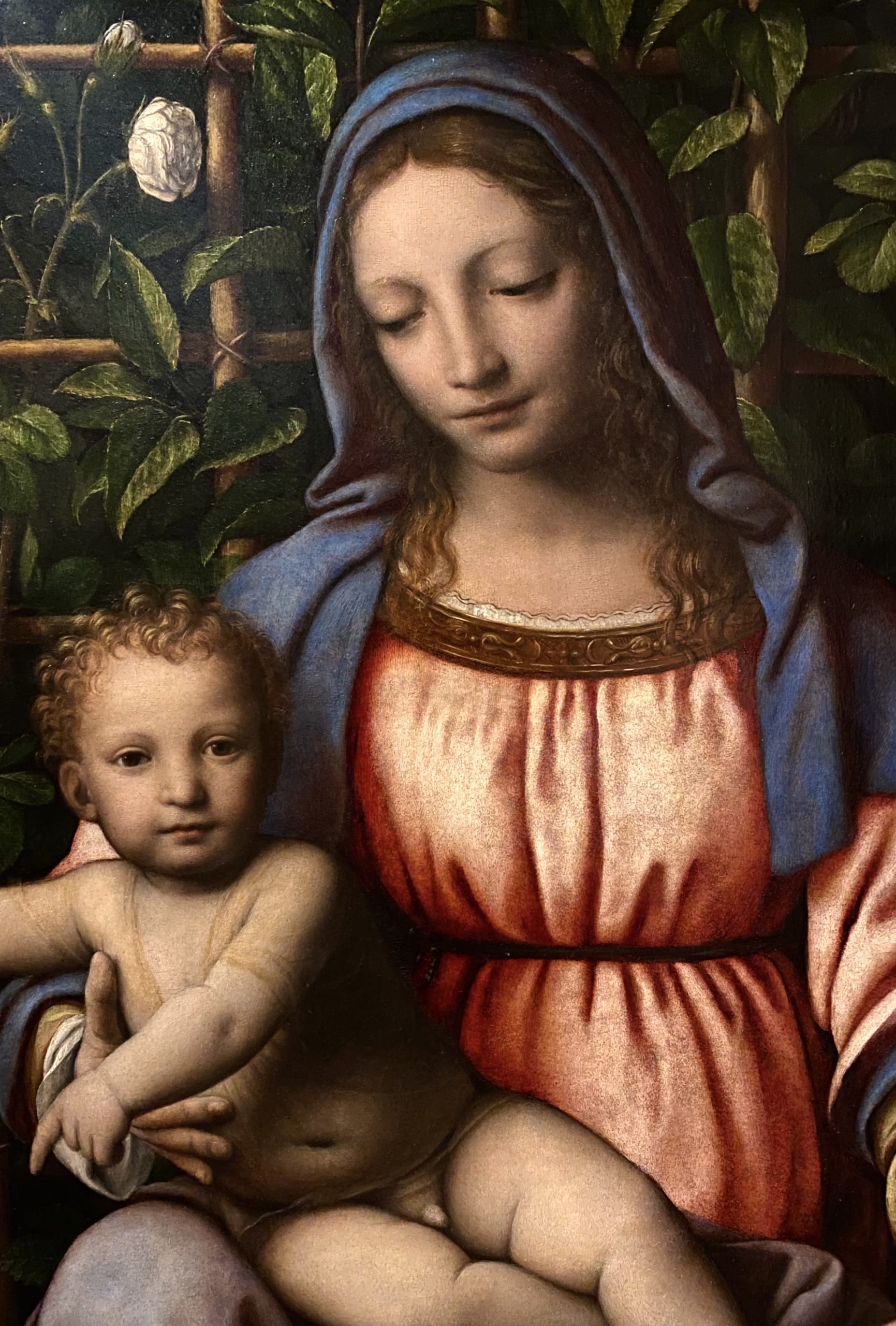 Fiabe braidensi – Il roseto più rigoglioso della Pinacoteca